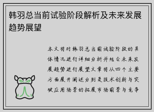 韩羽总当前试验阶段解析及未来发展趋势展望